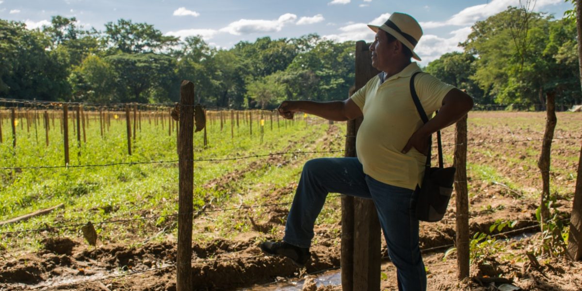 La Vida de Sandino: Varios caminos un solo fin